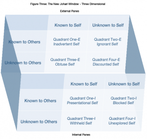 Johari Window - Figure 3