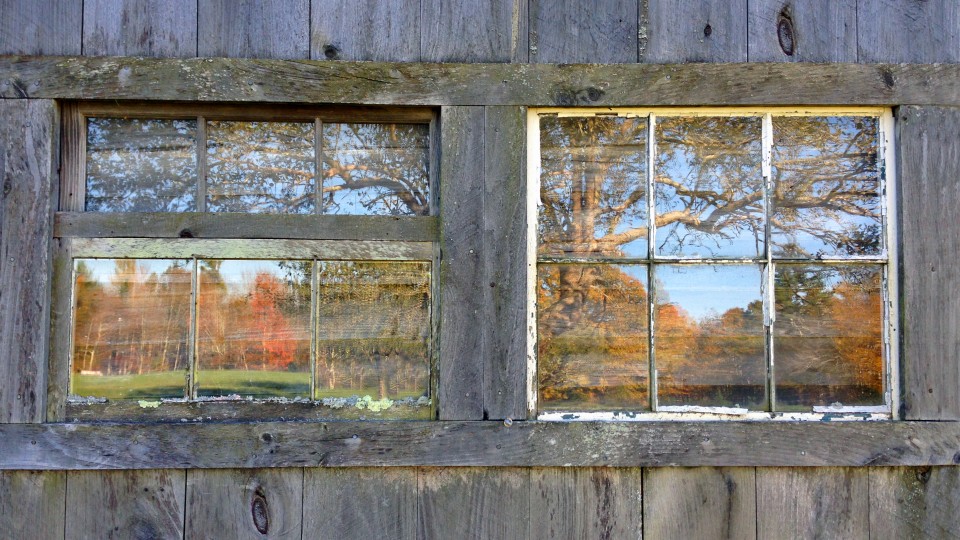 The New Johari Window: #8 Unpredictability