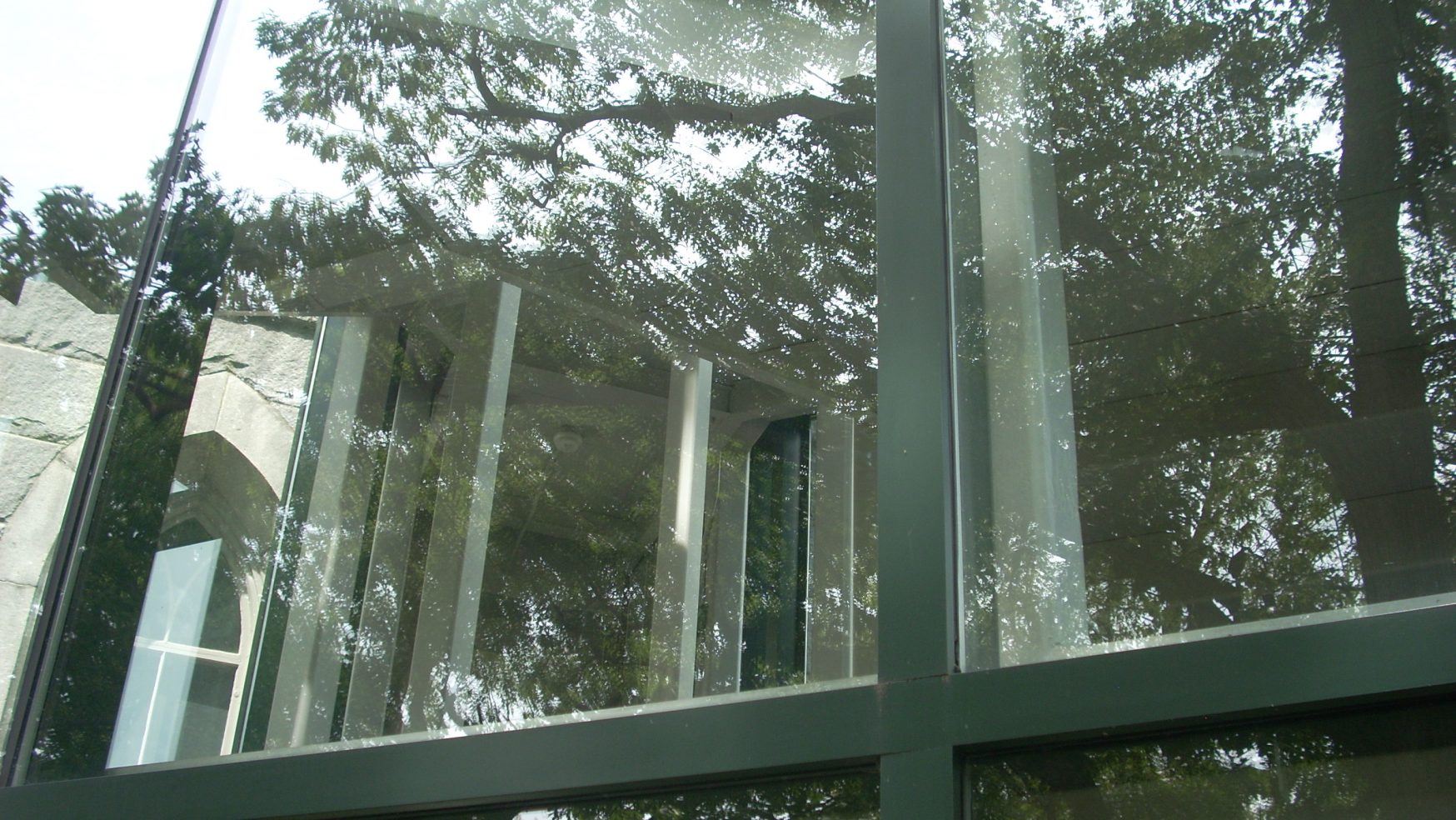The New Johari Window #19: Quadrant Two: The Blind/Opaque Area