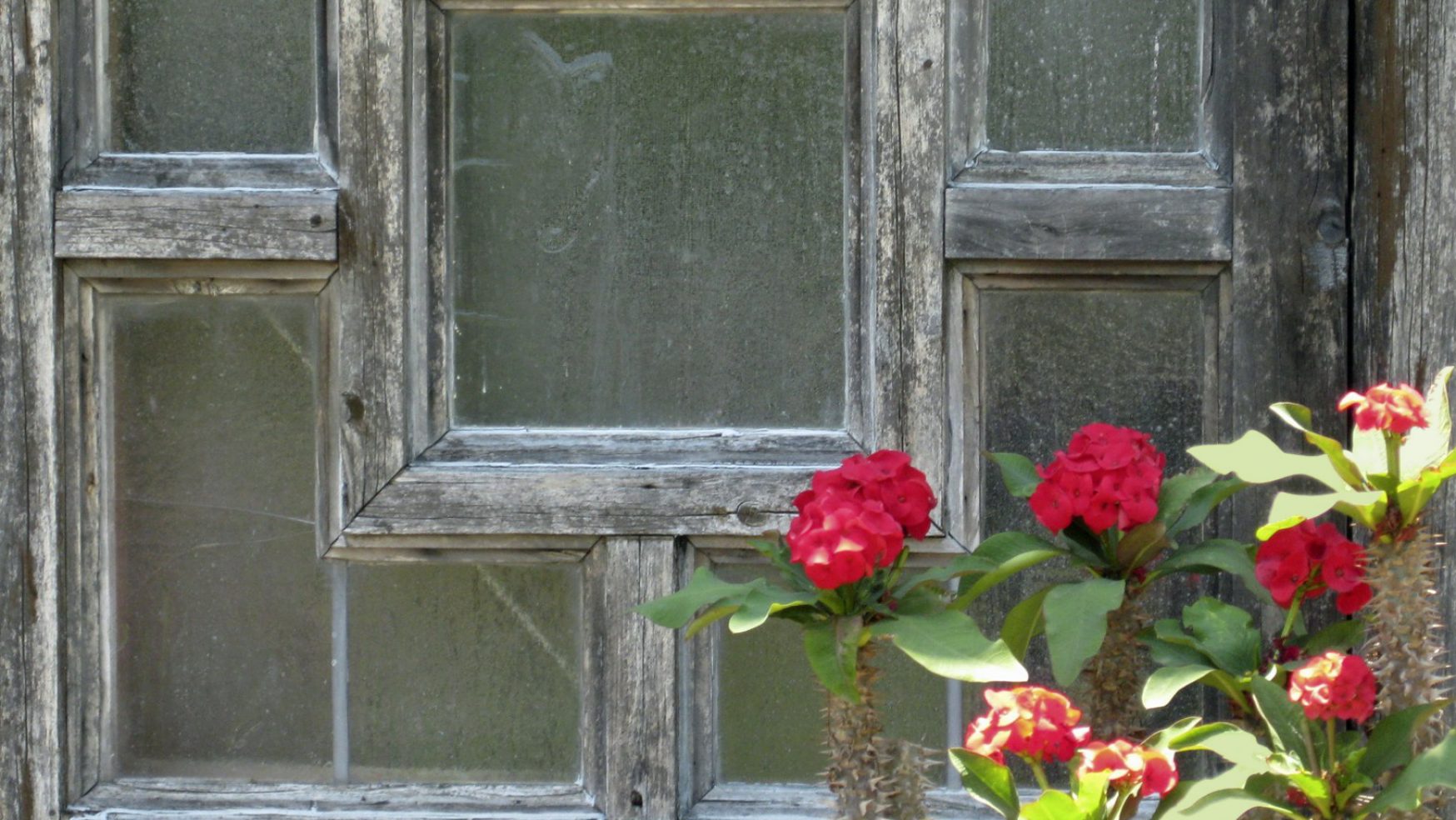 The New Johari Window #28: Quadrant Three: Interpersonal Needs