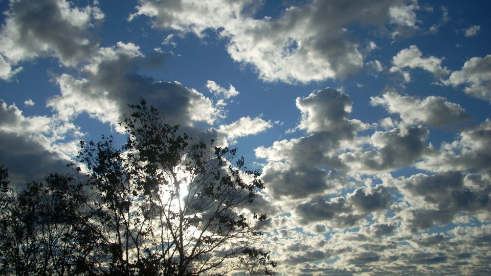 Pathways to Sleep I (d)–From Health to Sleep: The Mindfulness Pathways