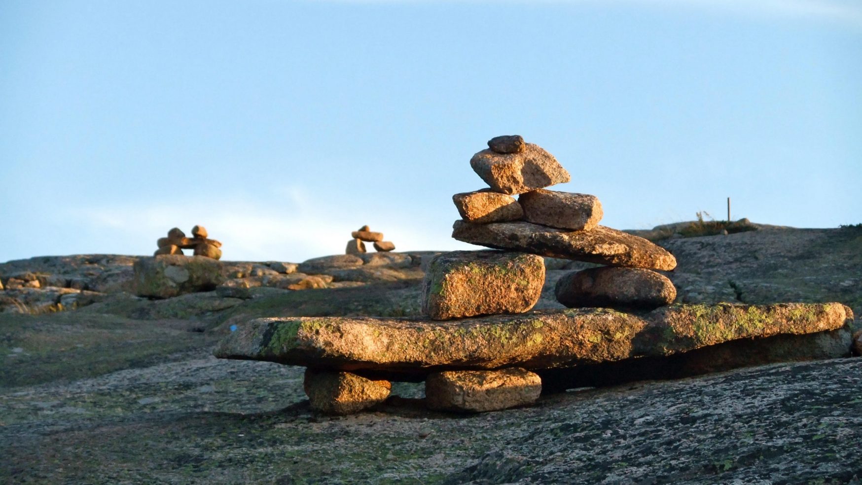 Polarization in the World of COVID-19