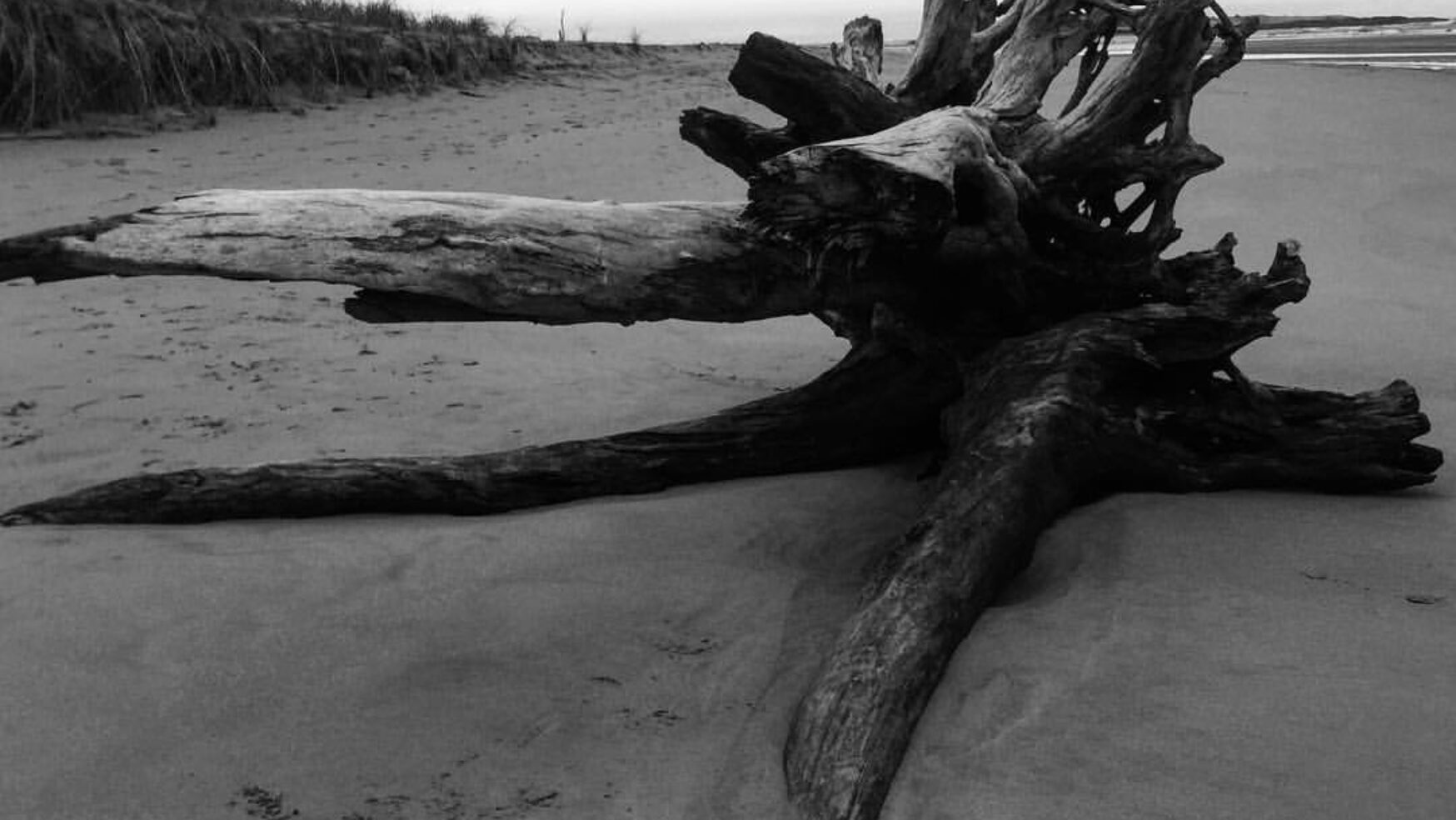 In Praise of Empathy